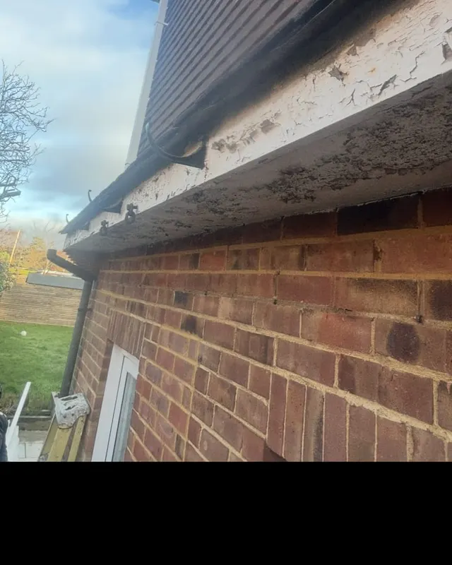 The original timber fascia before replacement, with the paint failed and the board rotting at the edge