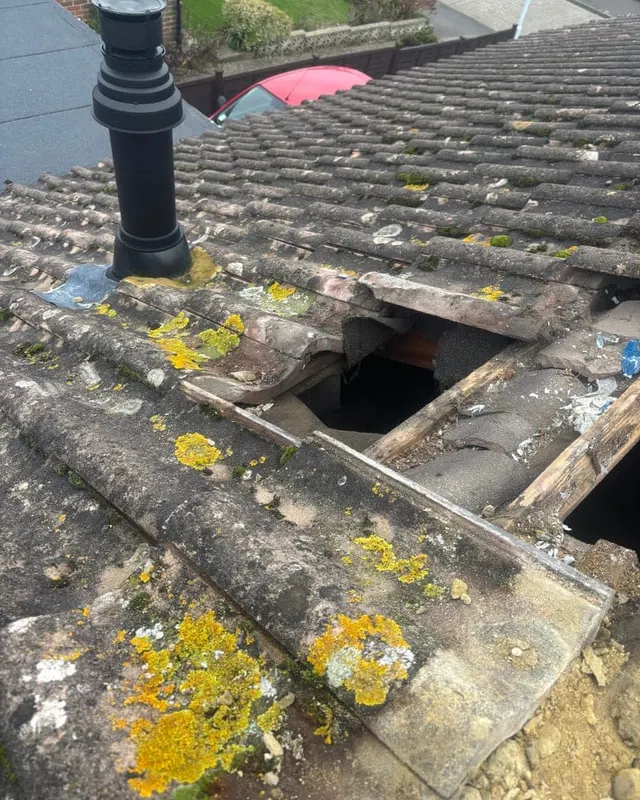 A hip opened up during a repair, showing the timber and failed mortar bedding underneath the tiles